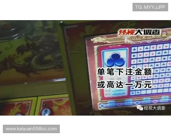 百家乐路单怎么看？掌握路单的关键技巧提升你的赢钱概率